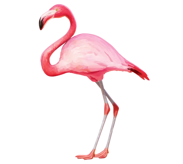 Low Poly Pink Flamingo PNG Transparent Background