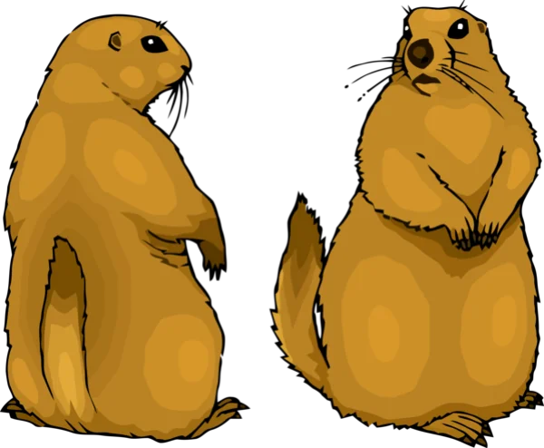 Two Cartoon Groundhogs Standing PNG
