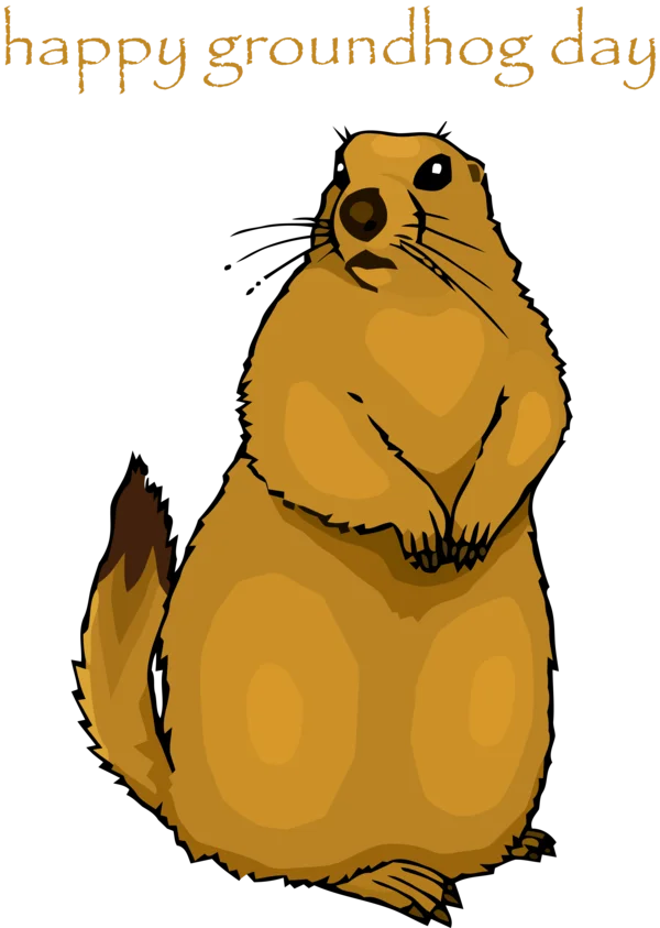 Happy Groundhog Day Groundhog Illustration PNG