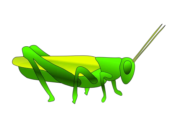 Green and Yellow Grasshopper PNG Transparent Background