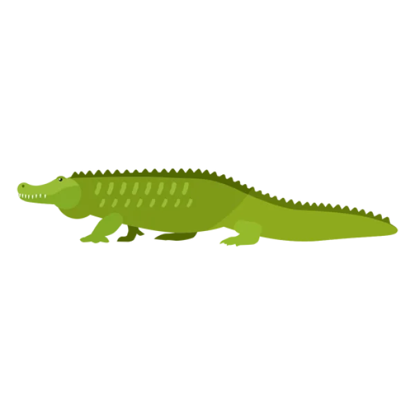 Cartoon Alligator PNG Transparent Background