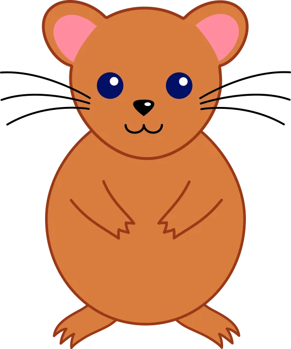 Cute Cartoon Hamster PNG Transparent Background