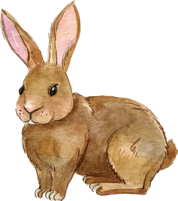 Watercolor Rabbit Illustration PNG Transparent Background