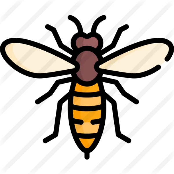 Cartoon Bee Icon PNG Transparent Background