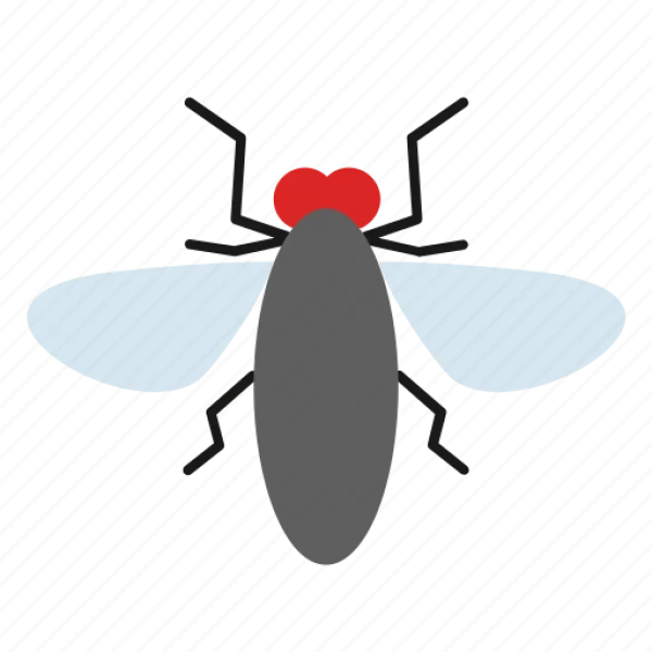 Cartoon Fly Insect PNG Transparent Background