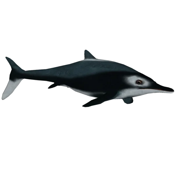 Ichthyosaur Prehistoric Marine Reptile PNG Transparent