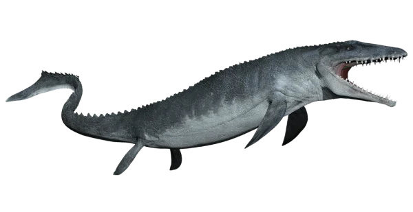Realistic Mosasaur PNG Transparent Background