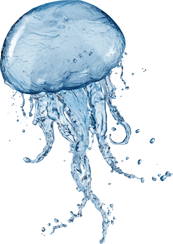 Dynamic Water Splash Jellyfish PNG Transparent Background