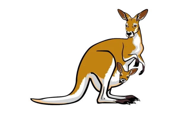 Kangaroo with Joey Transparent PNG
