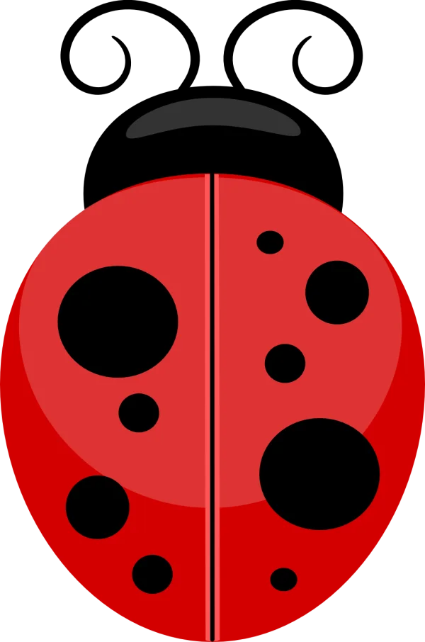 Cute Cartoon Ladybug PNG Transparent