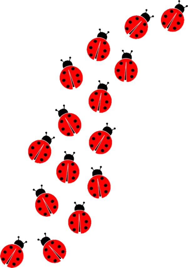 Red Ladybugs PNG Transparent Background