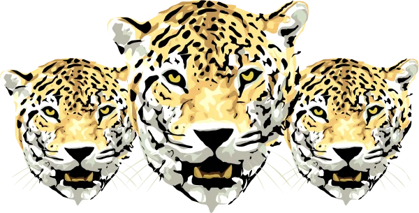 Three Jaguar Heads PNG Transparent Background