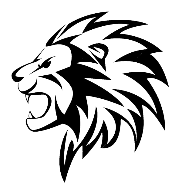 Digital Noise Overlay Transparent PNG