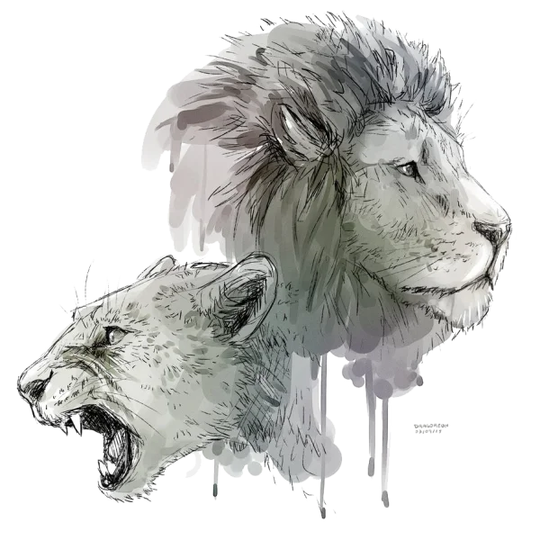 Artistic Lion and Lioness Heads Watercolor PNG
