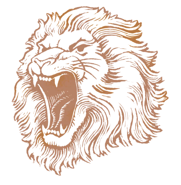Roaring Lion Head Illustration PNG Transparent