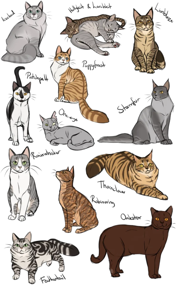 Various Cartoon Cats Collection PNG Transparent Background