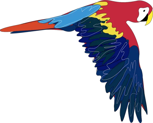 Colorful Flying Parrot Illustration PNG