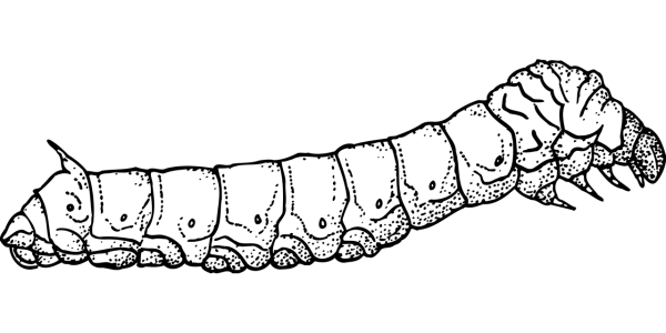 Solid Black Background PNG