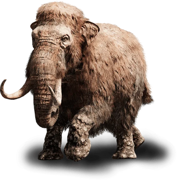 Woolly Mammoth Transparent Background PNG