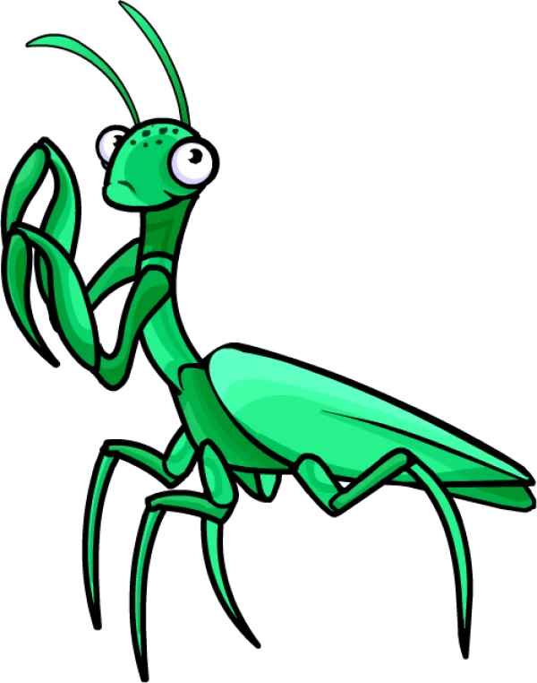 Cartoon Praying Mantis PNG Transparent Background