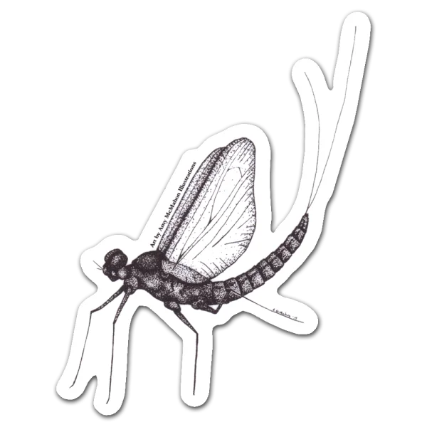 Detailed Mayfly Illustration Sticker PNG