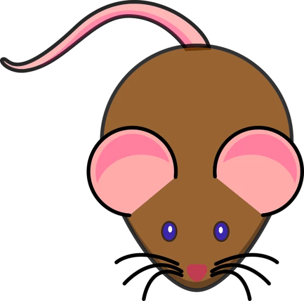 Cute Cartoon Mouse PNG with Transparent Background