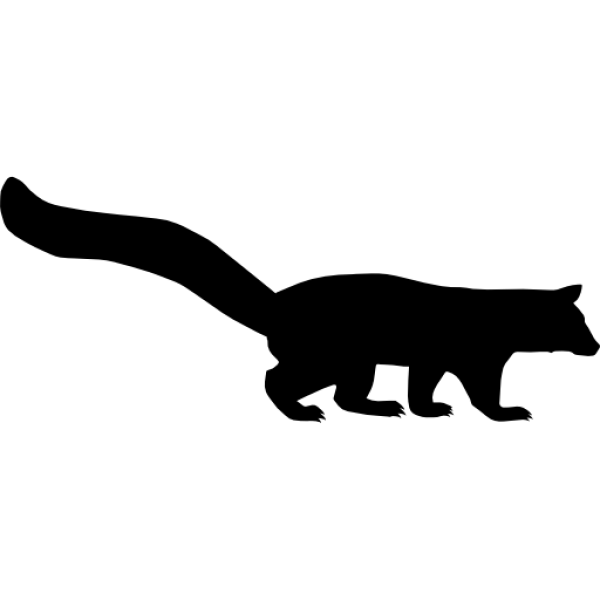 Black Rectangle Transparent Background