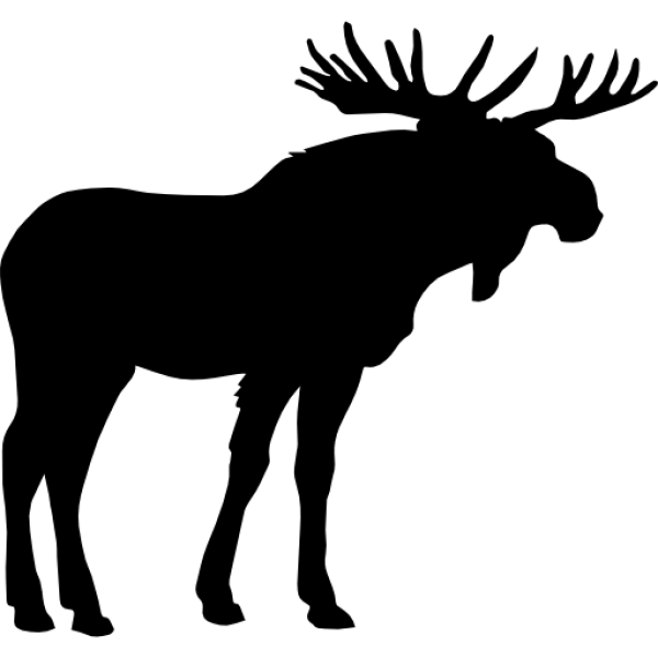 Solid Black Transparent PNG