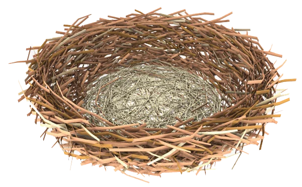 Empty Bird's Nest PNG Transparent Background