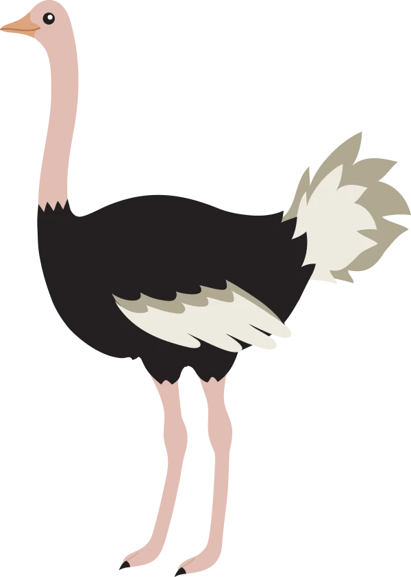 Cartoon Ostrich PNG Transparent Background