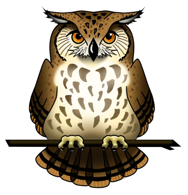 Brown Owl Perched Transparent PNG