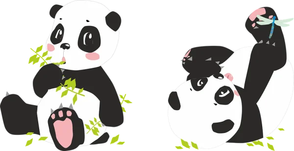 Cute Cartoon Pandas Eating Leaves PNG