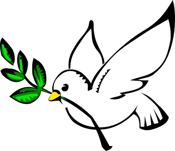 Peace Dove with Olive Branch PNG Transparent