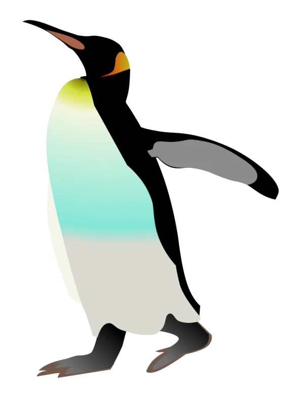 Stylized Penguin Illustration Transparent PNG