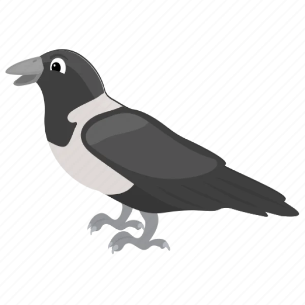 Cartoon Hooded Crow PNG Transparent