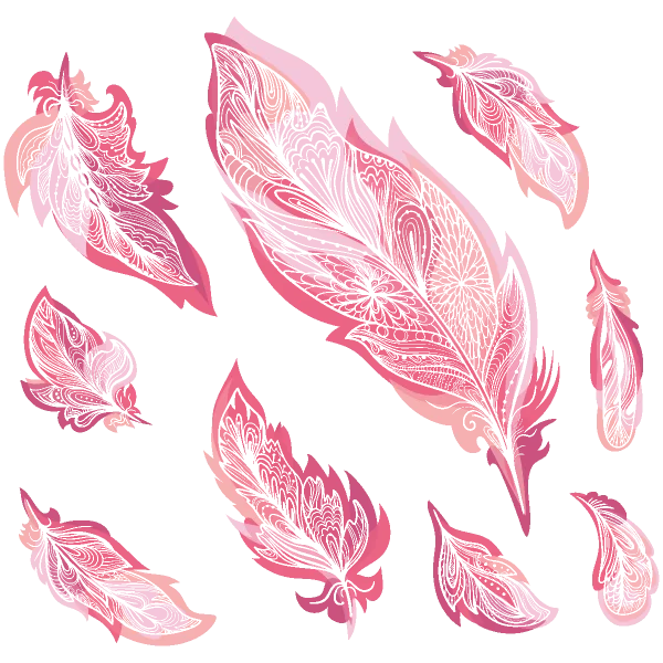 Pink Decorative Feathers PNG Transparent Background