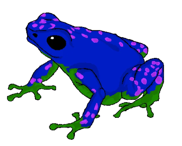 Vibrant Spotted Frog PNG Transparent Background