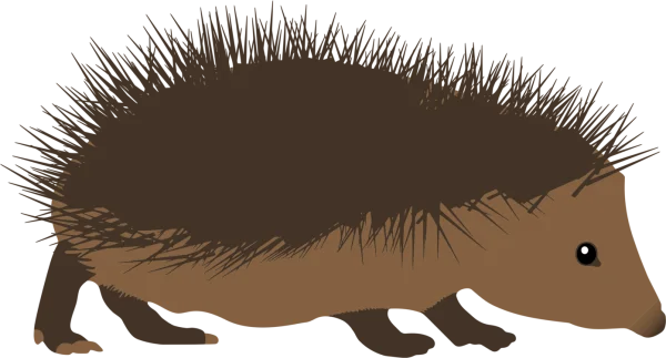 Cute Cartoon Hedgehog PNG Transparent Background