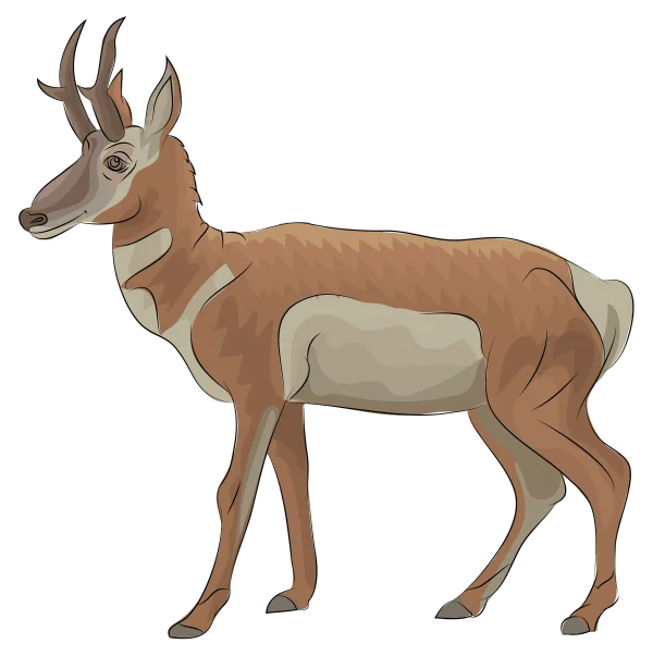Pronghorn Antelope Cartoon Illustration PNG