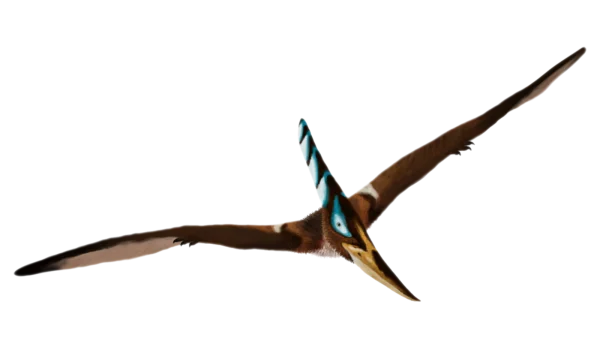 Pterodactyl in Flight PNG Transparent Background