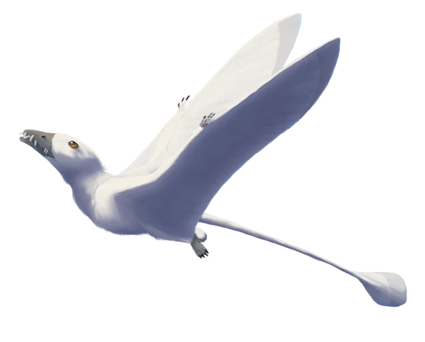 White Flying Pterodactyl-like Creature PNG