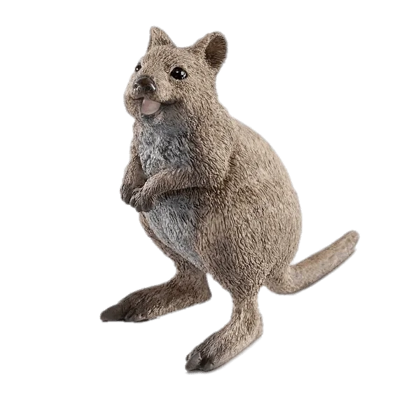 Happy Quokka PNG Transparent Background