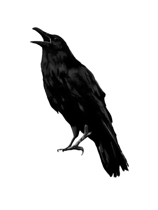 Black Crow Cawing PNG Transparent Background