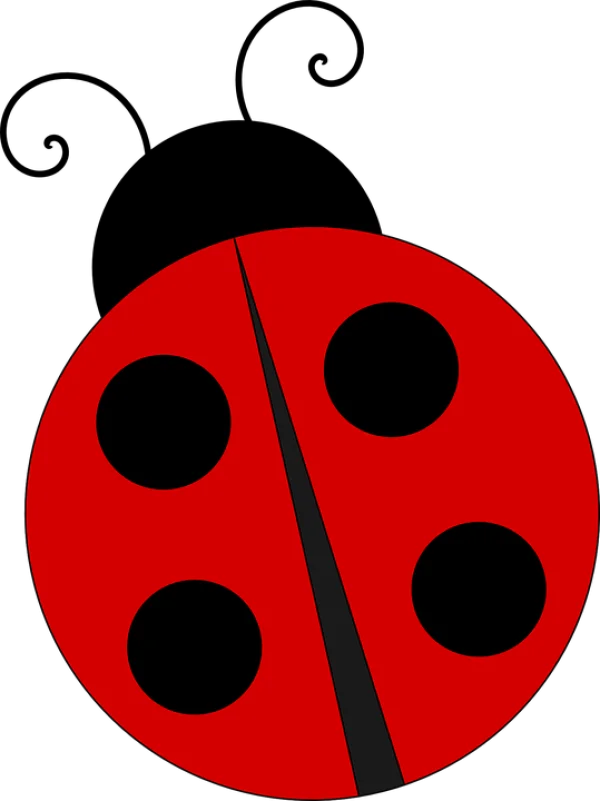 Cute Red Ladybug PNG Transparent Background