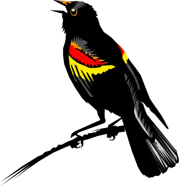 Stylized Red and Yellow Bird PNG Transparent