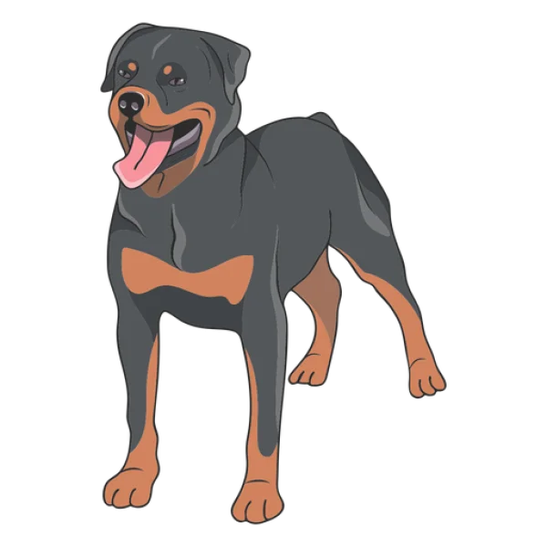 Rottweiler Dog Cartoon PNG Transparent Background