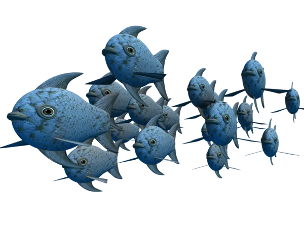 School of Blue Fish Transparent PNG
