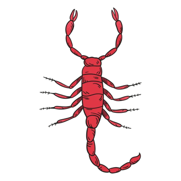 Red Cartoon Scorpion Transparent PNG