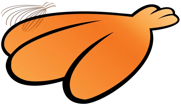 Stylized Orange Tropical Fruit PNG