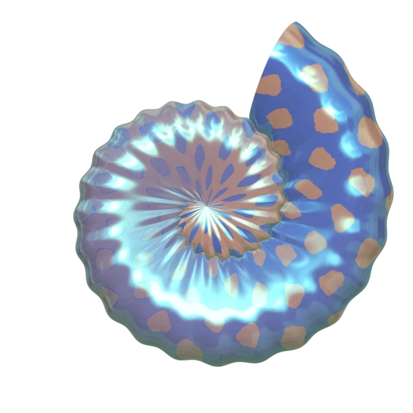 Shiny Blue Nautilus Shell PNG Transparent